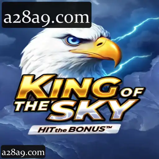 KingOfTheSky